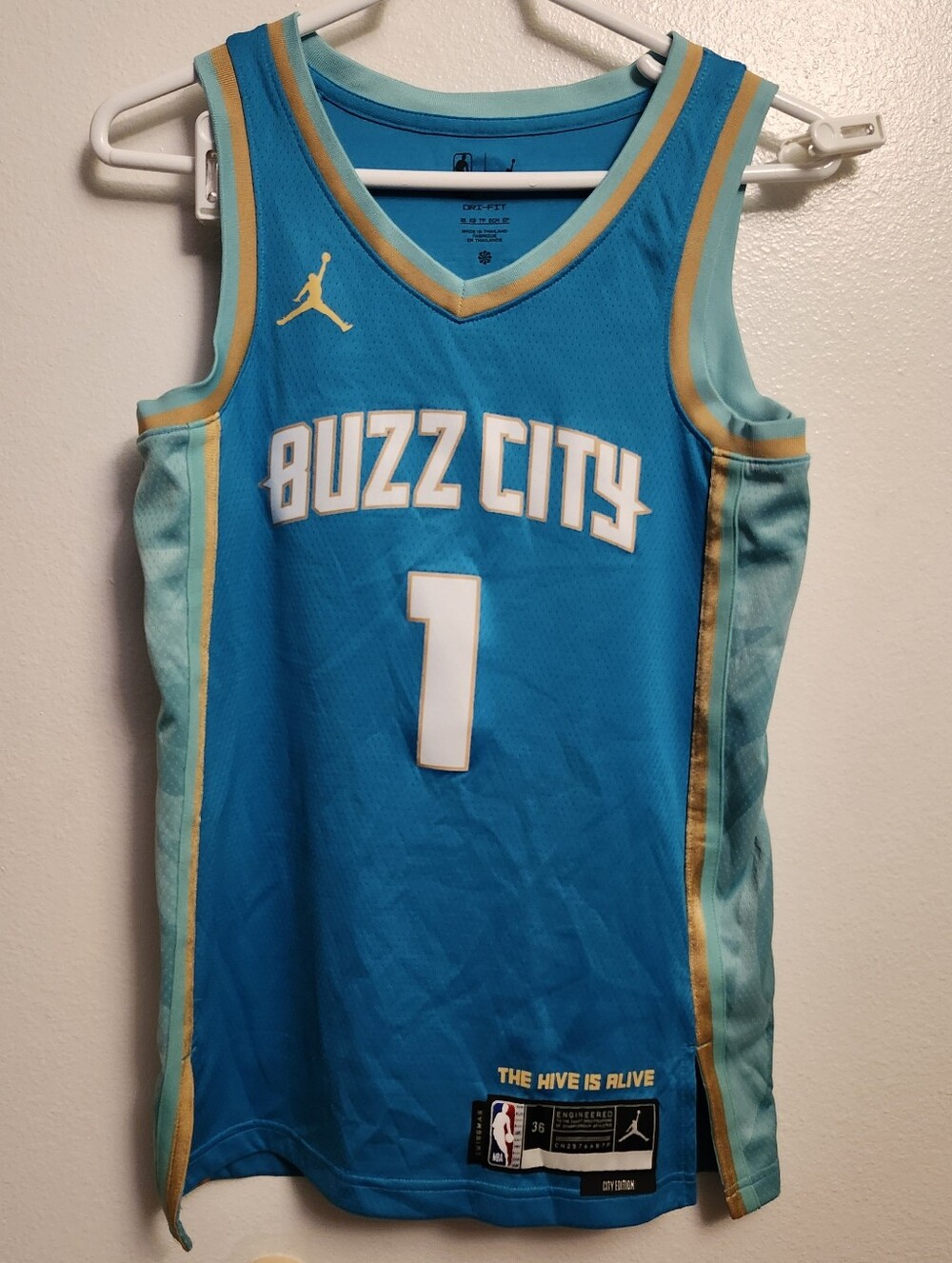 NBA Jordan Charlotte Hornets LaMelo Ball 'Buzz City' Dri-fit Basketball Jersey